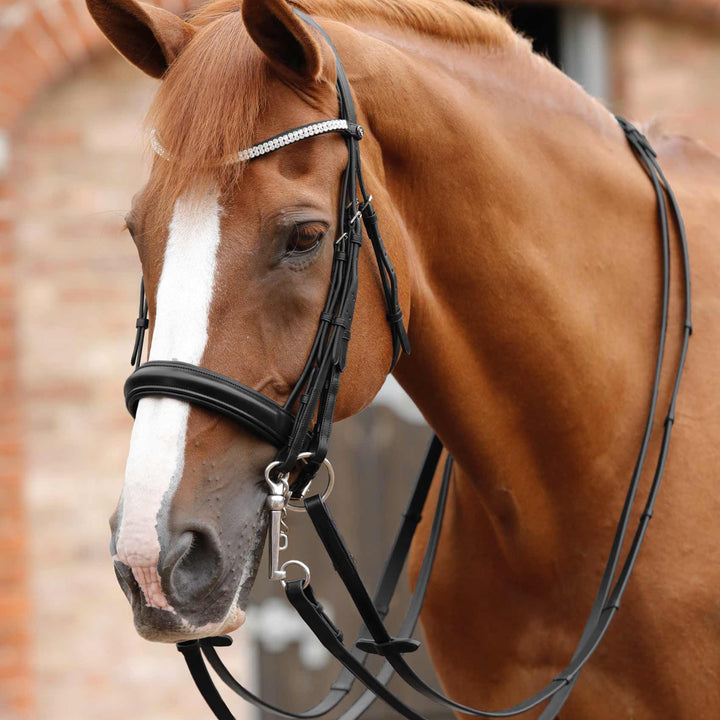 Premier Equine Matteo leather Grip Reins