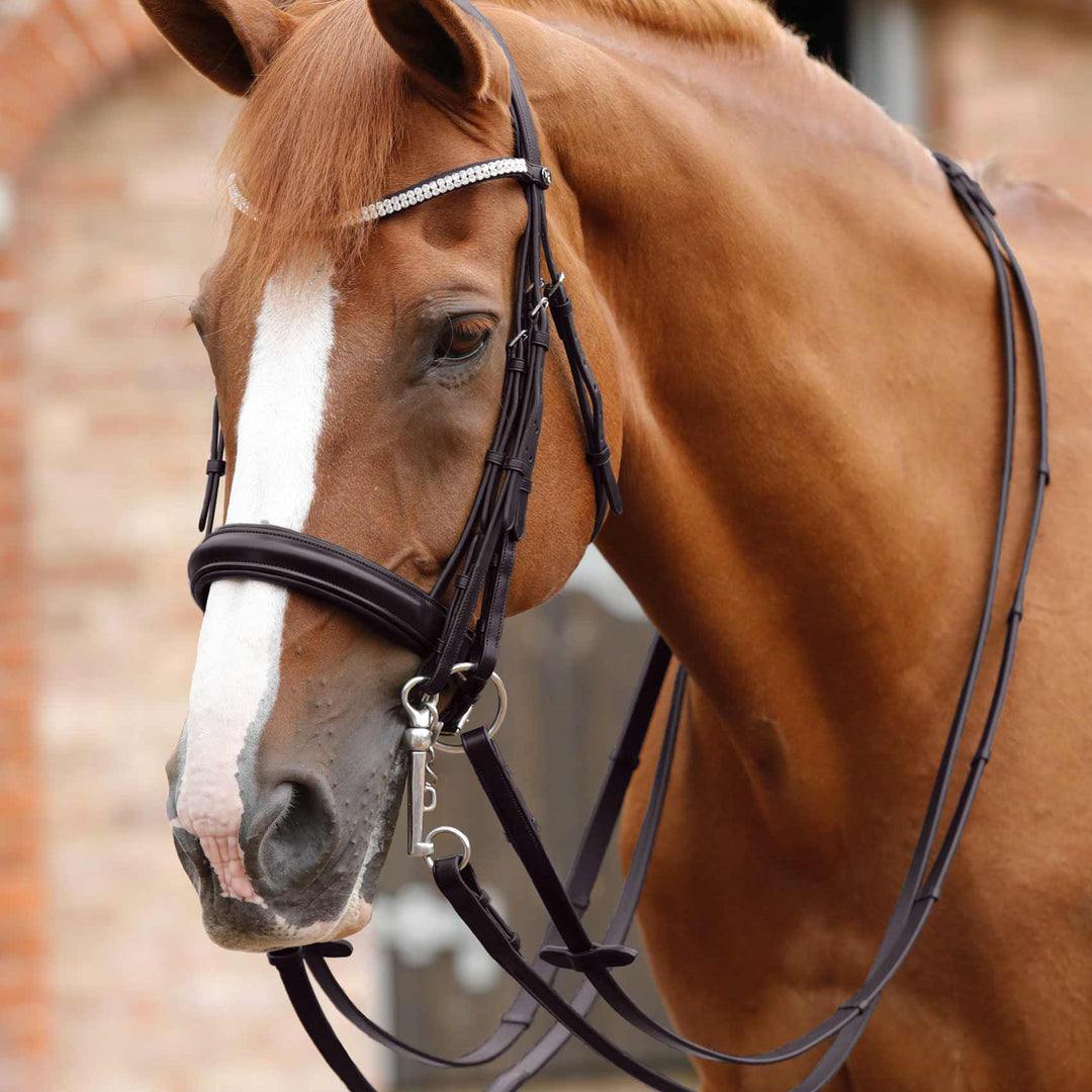 Premier Equine Matteo leather Grip Reins