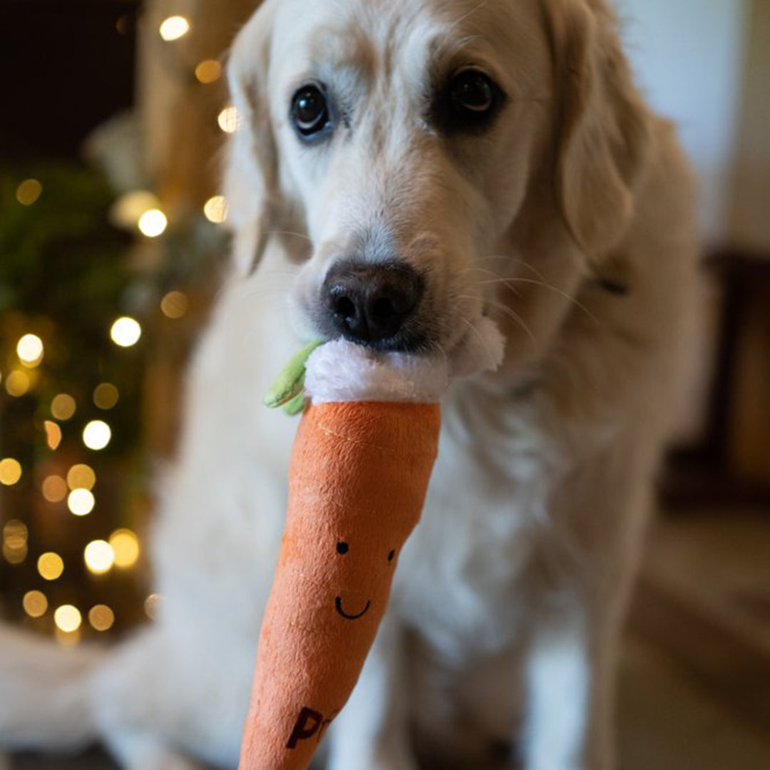 Petface Carter Carrot Plush Christmas Dog Toy