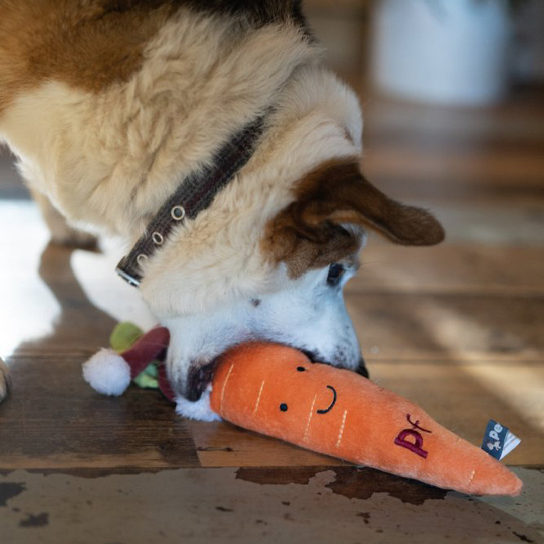 Petface Carter Carrot Plush Christmas Dog Toy