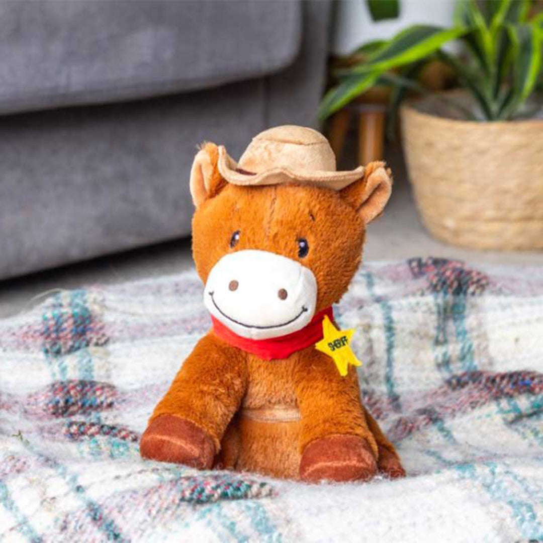 Zoon Buckaroo ChewPal Dog Toy