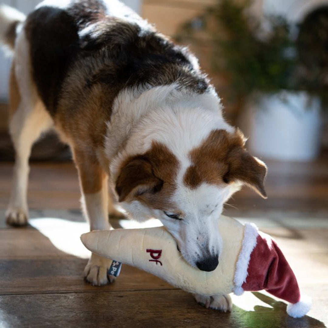 Petface Peter Parsnip Plush Christmas Dog Toy