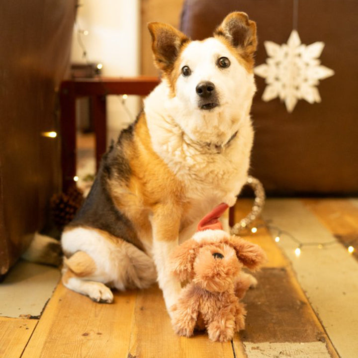 Petface Stella Scruffy Dog Plush Christmas Dog Toy