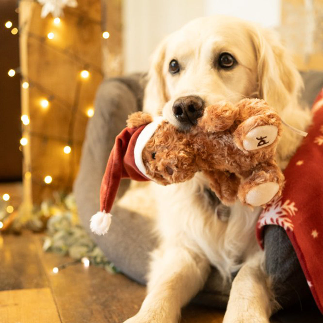 Petface Cassie Curly Christmas Teddy Plush Dog Toy