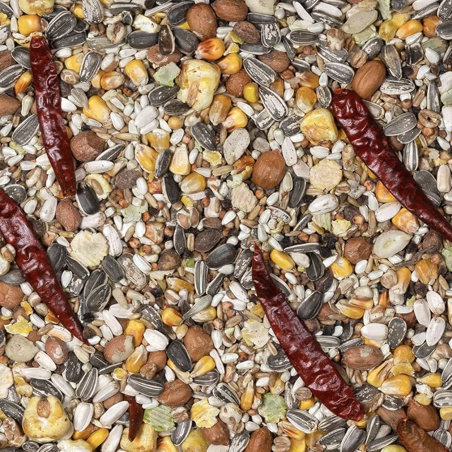 Johnston Jeff Parrot Food