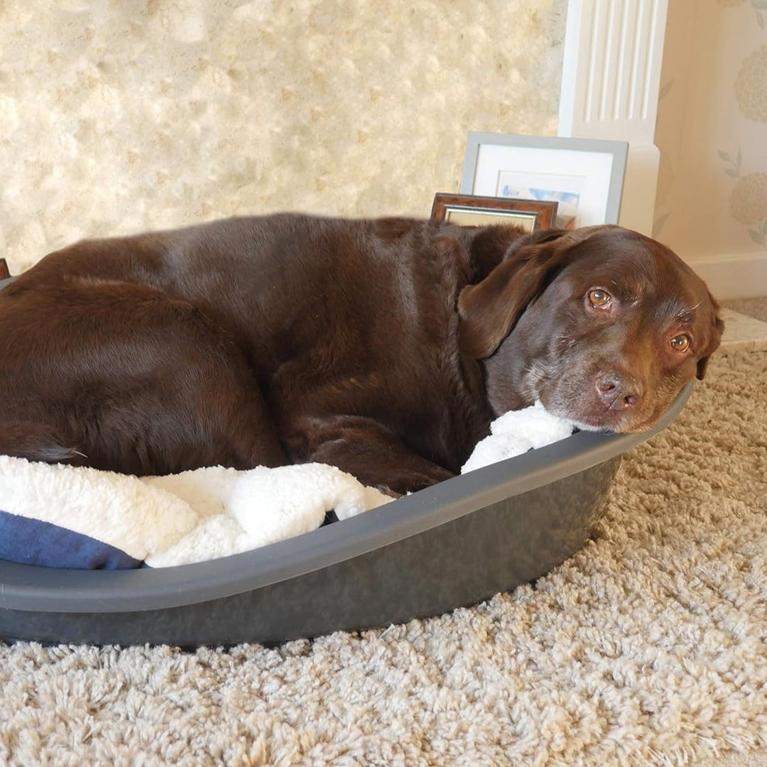 Rosewood Sonny Plastic Bed#Grey