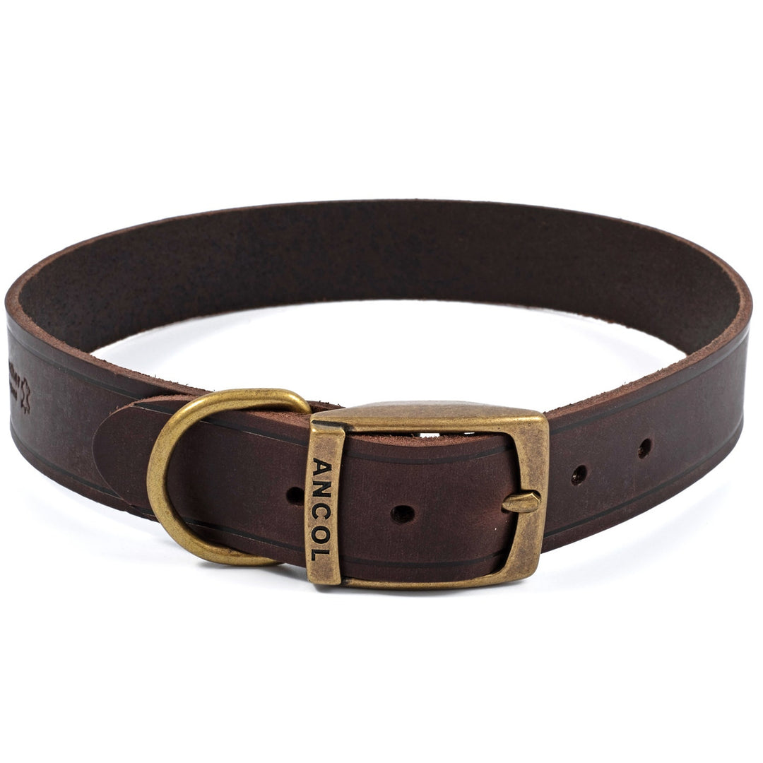 Ancol Latigo Leather Dog Collar