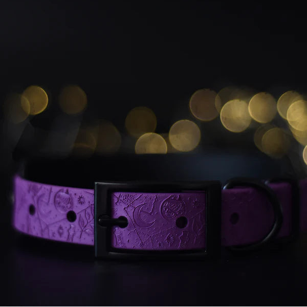 Woof & Snout Spellbound Hound Collar