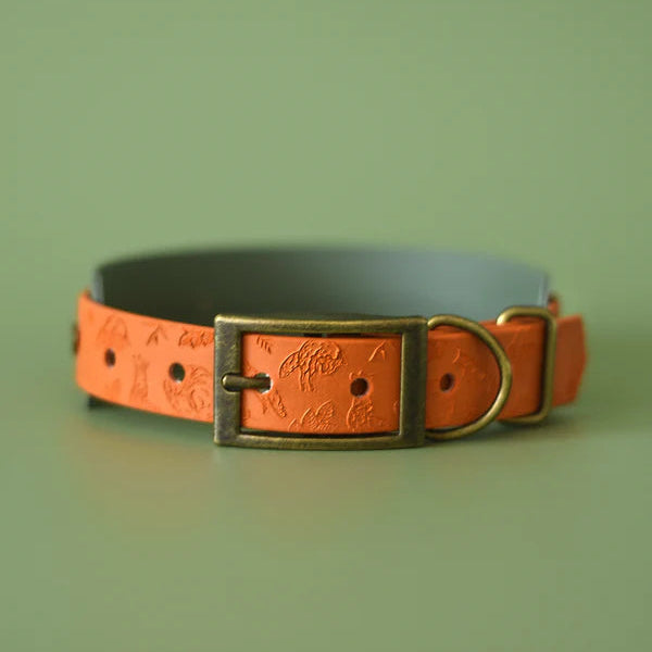 Woof & Snout Foxes Glade Hound Collar