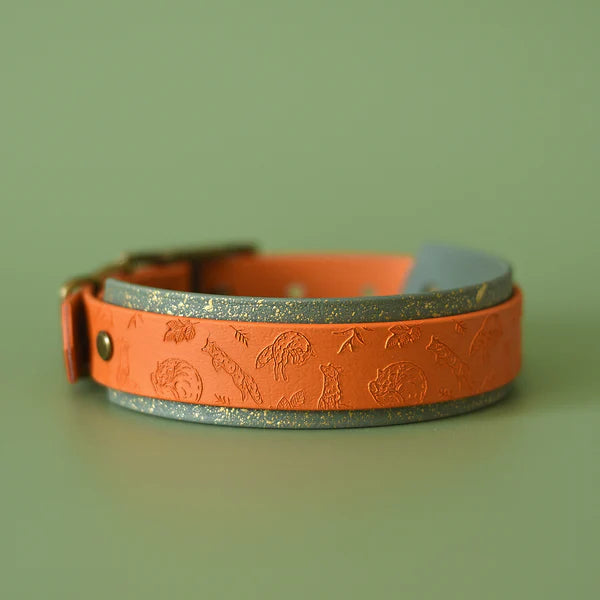 Woof & Snout Foxes Glade Hound Collar