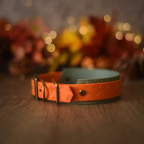 Woof & Snout Foxes Glade Hound Collar