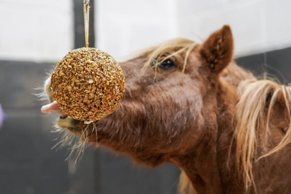 Likit Granola Stall Ball