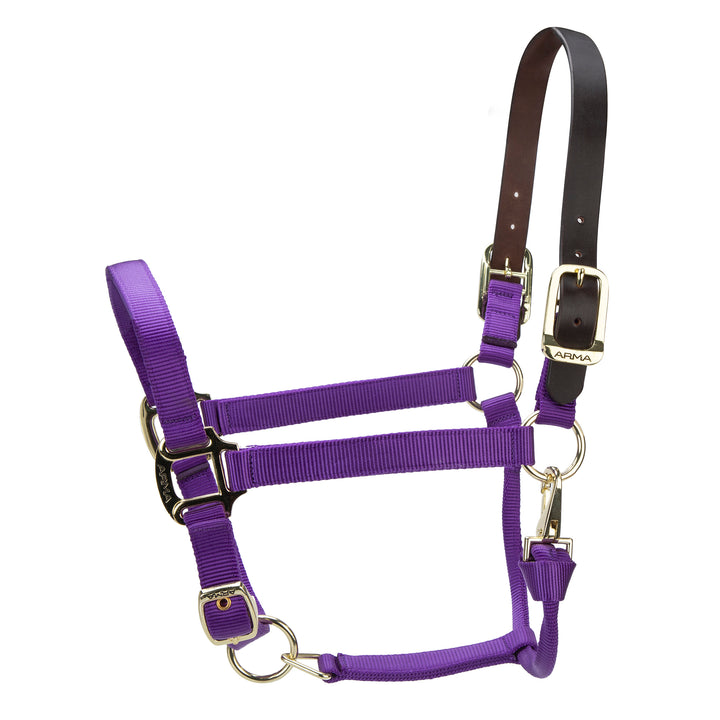 ARMA Premium Adjustable FieldSafe Headcollar