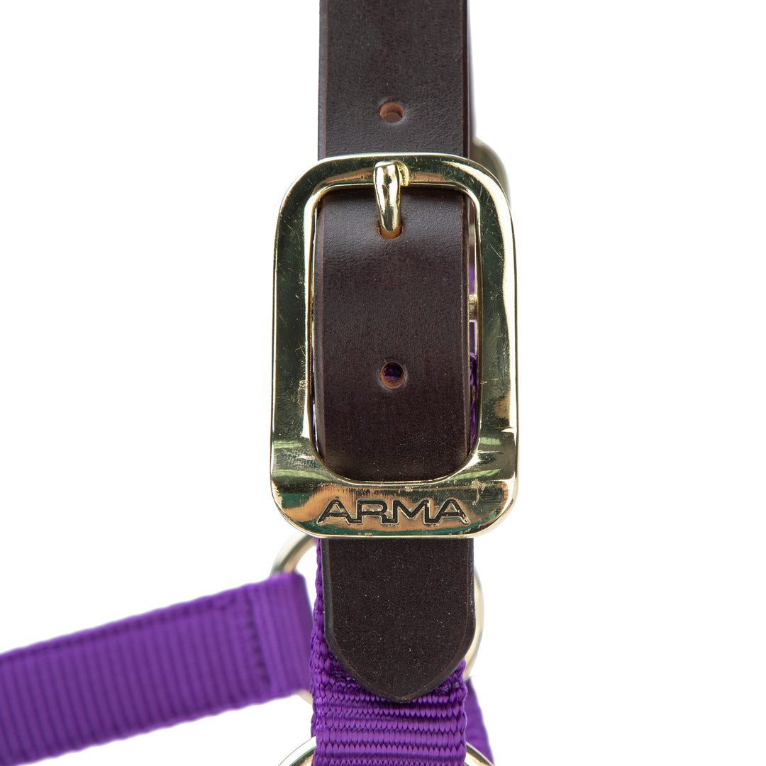 ARMA Premium Adjustable FieldSafe Headcollar