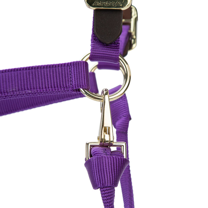 ARMA Premium Adjustable FieldSafe Headcollar