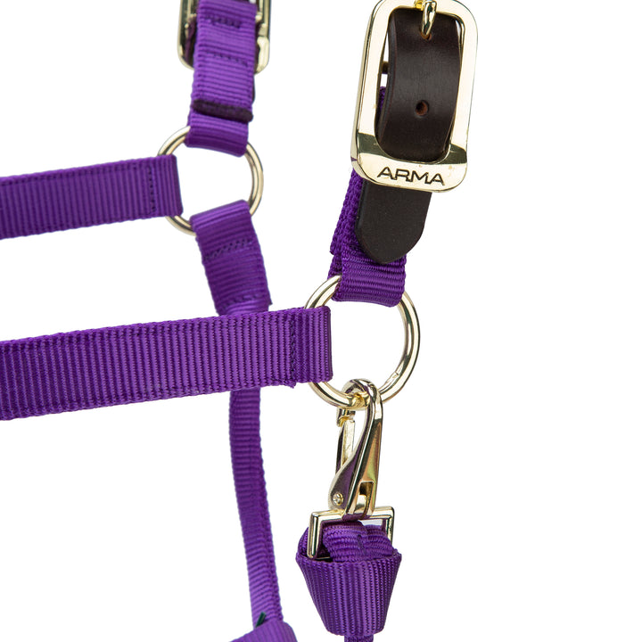 ARMA Premium Adjustable FieldSafe Headcollar