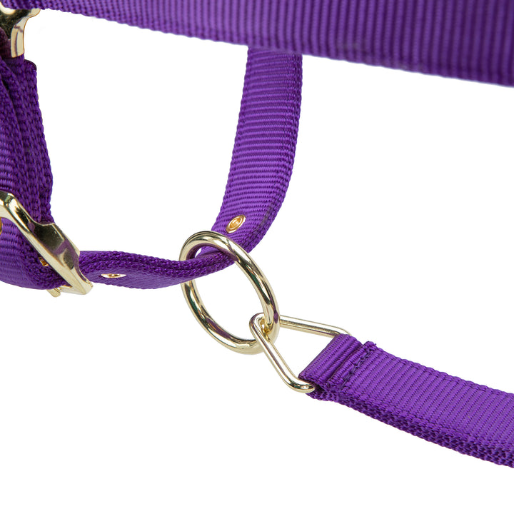 ARMA Premium Adjustable FieldSafe Headcollar