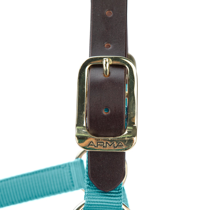ARMA Premium Adjustable FieldSafe Headcollar