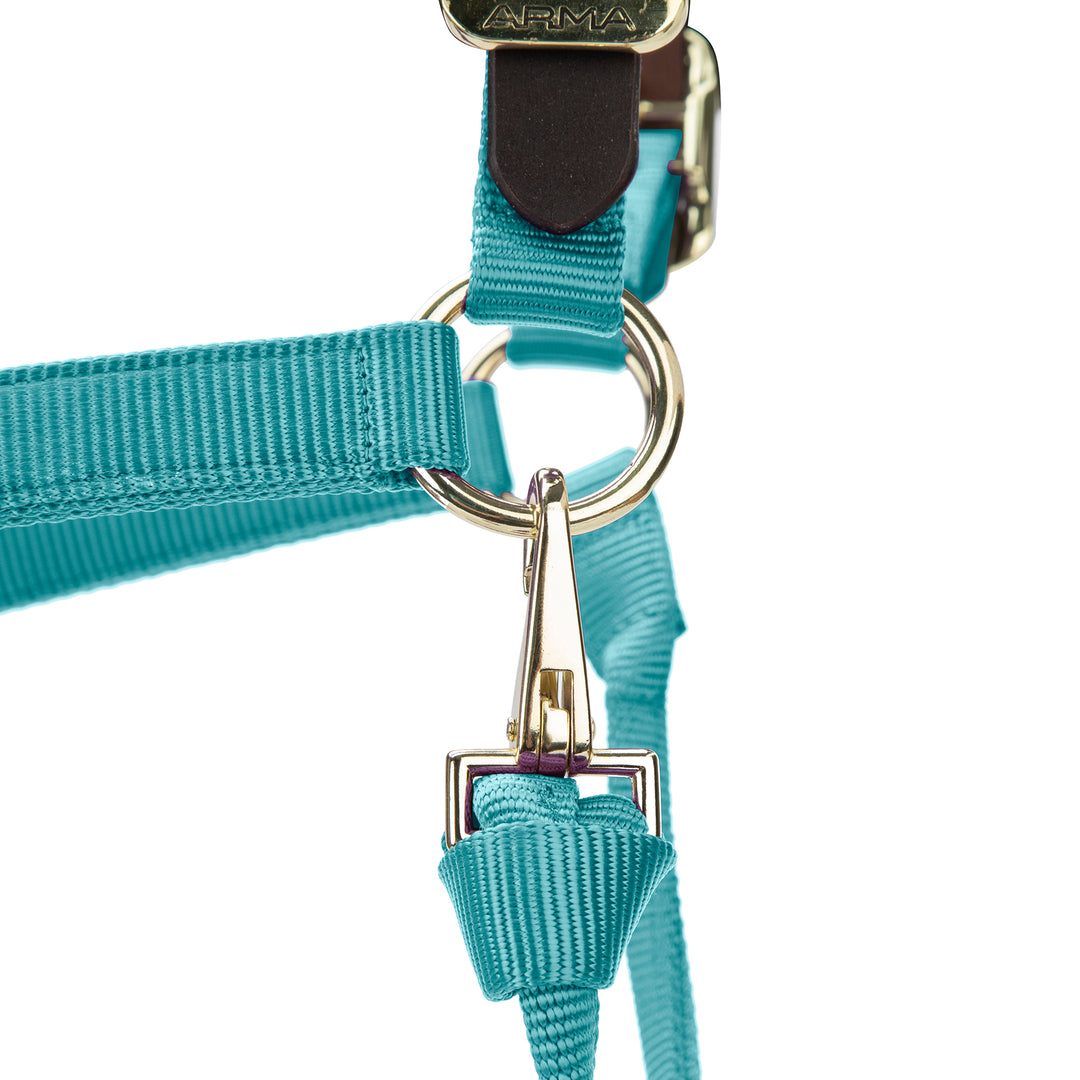 ARMA Premium Adjustable FieldSafe Headcollar