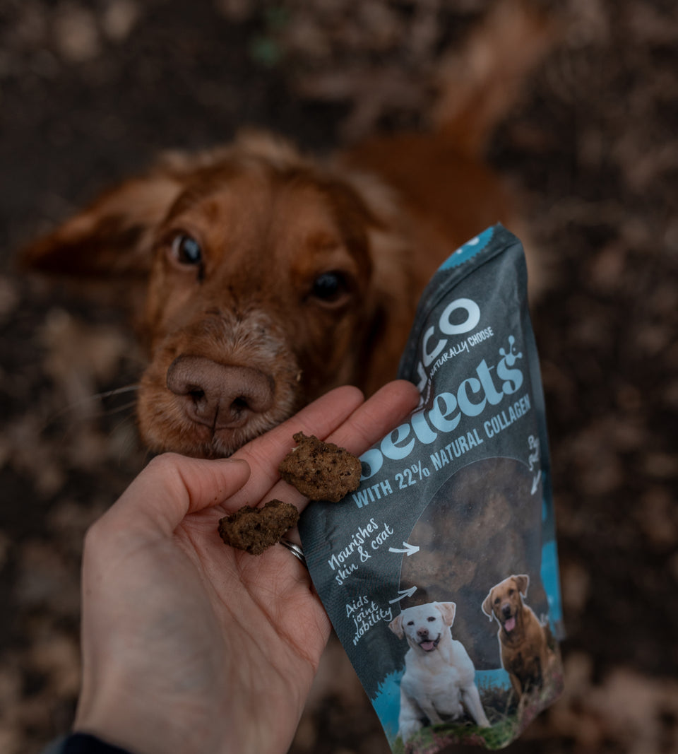Anco Selects Duck Bites with Collagen