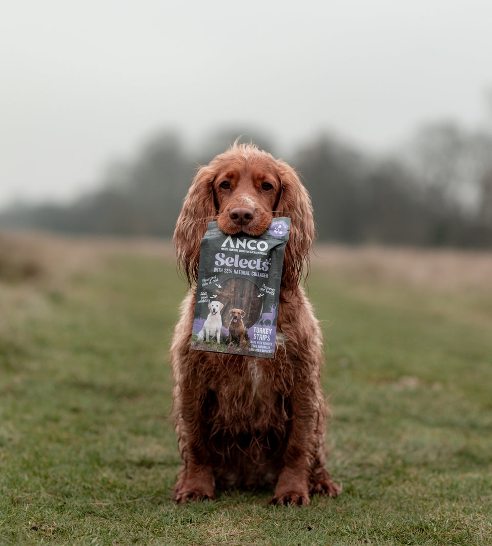 Anco Selects Turkey Strips with Collagen