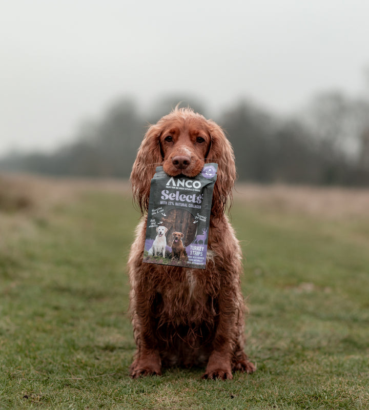 Anco Selects Turkey Strips with Collagen