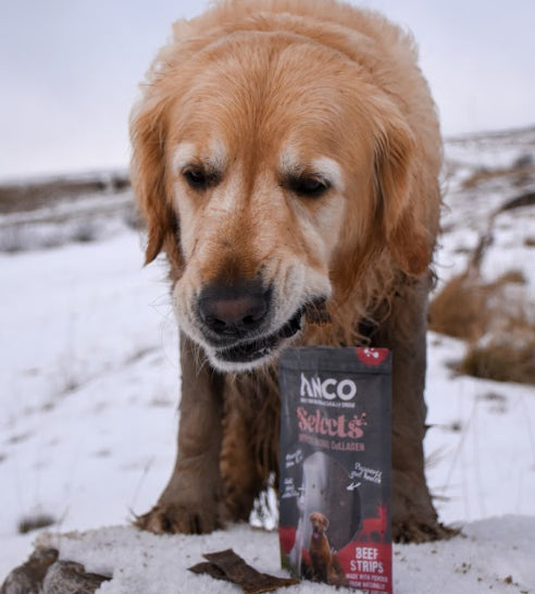 Anco Selects Beef Strips with Collagen