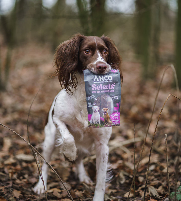 Anco Selects Wild Game Strips with Collagen