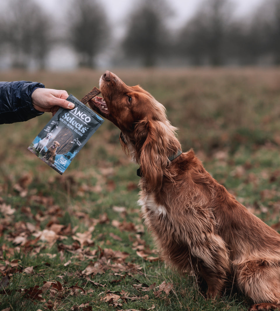 Anco Selects Duck Strips with Collagen
