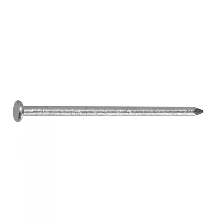 Eliza Tinsley 50mm Galvanised Round Wire Nail