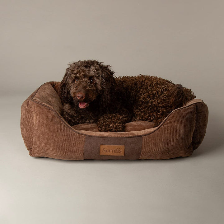 Scruffs Chester Box Bed