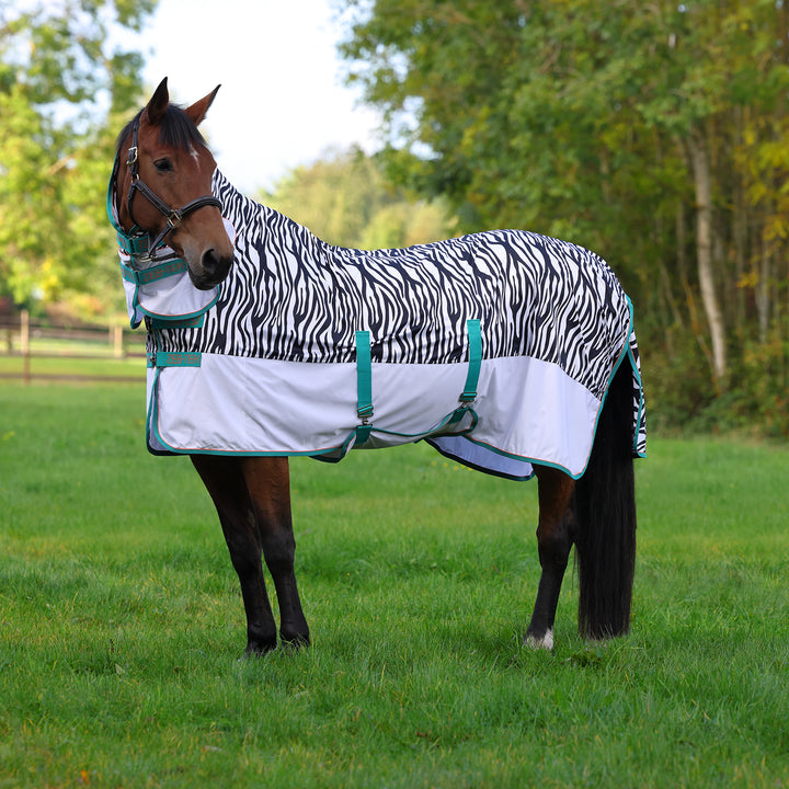 Shires Tempest Original  Zeb-Tek Fly Combo