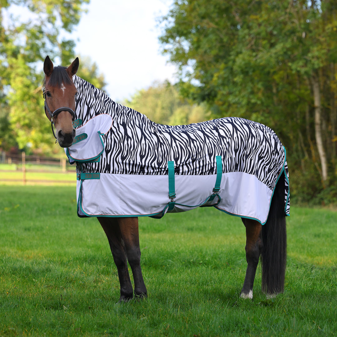 Shires Tempest Original  Zeb-Tek Fly Combo