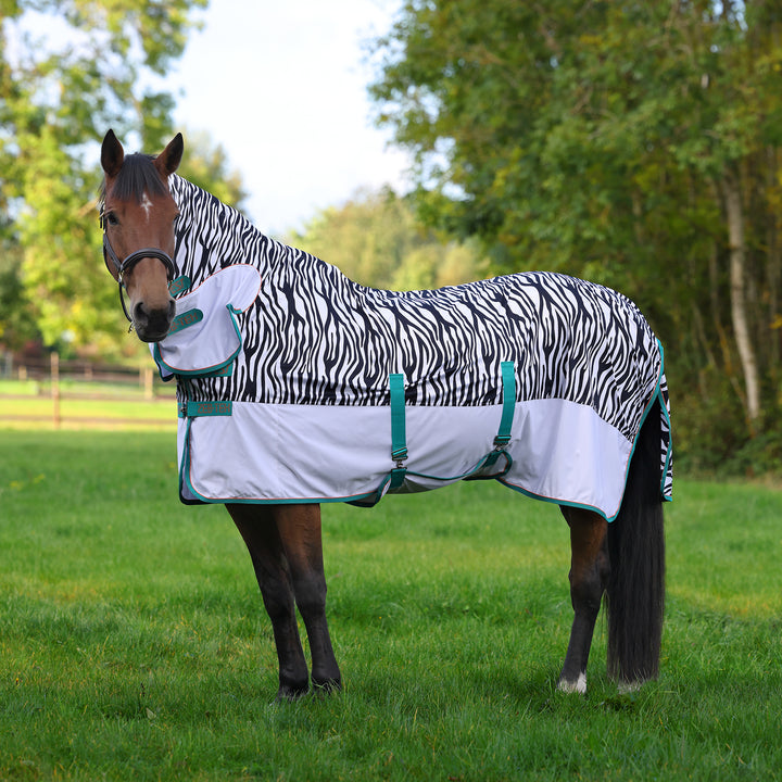 Shires Tempest Original  Zeb-Tek Fly Combo