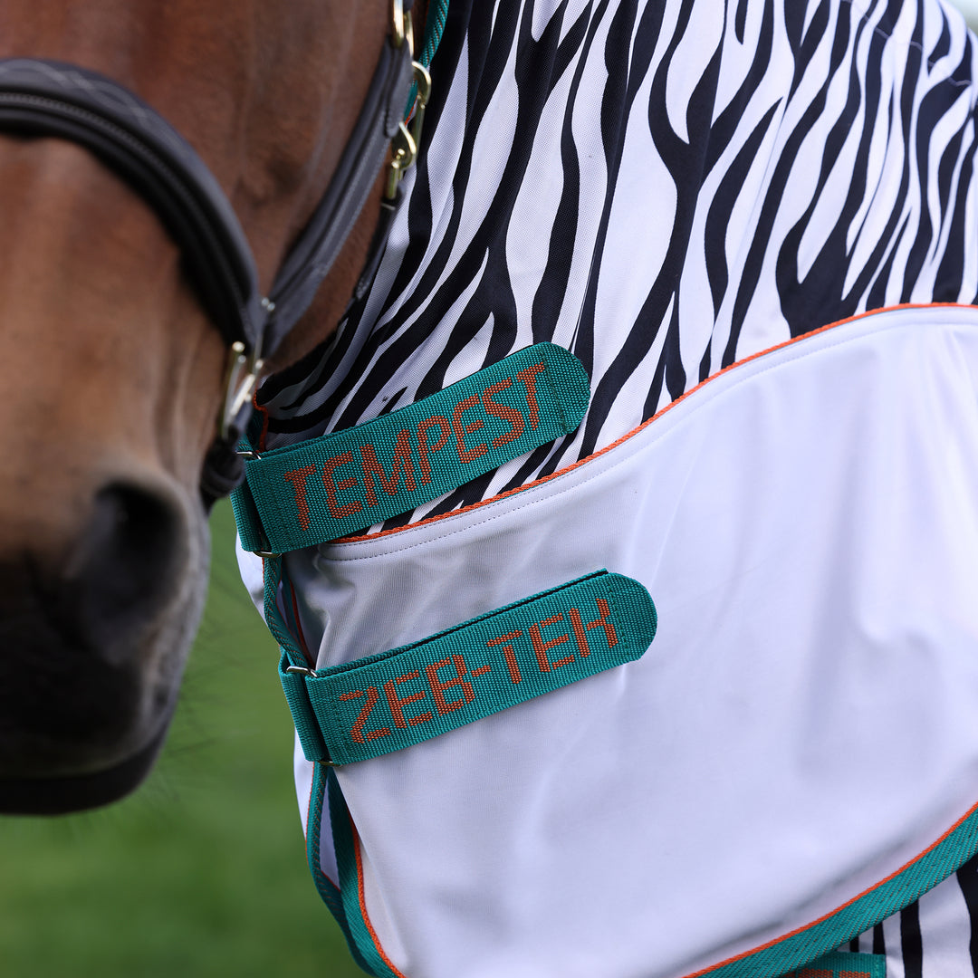 Shires Tempest Original  Zeb-Tek Fly Combo