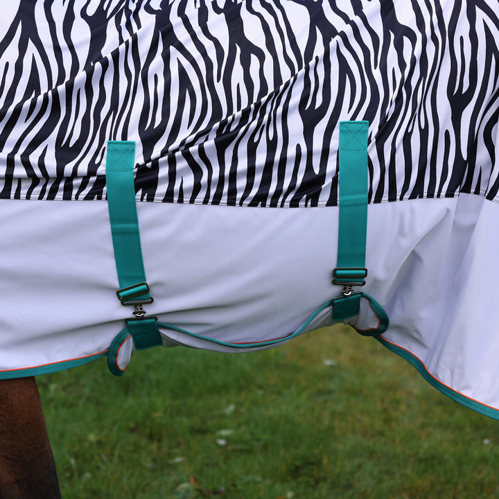 Shires Tempest Original  Zeb-Tek Fly Combo