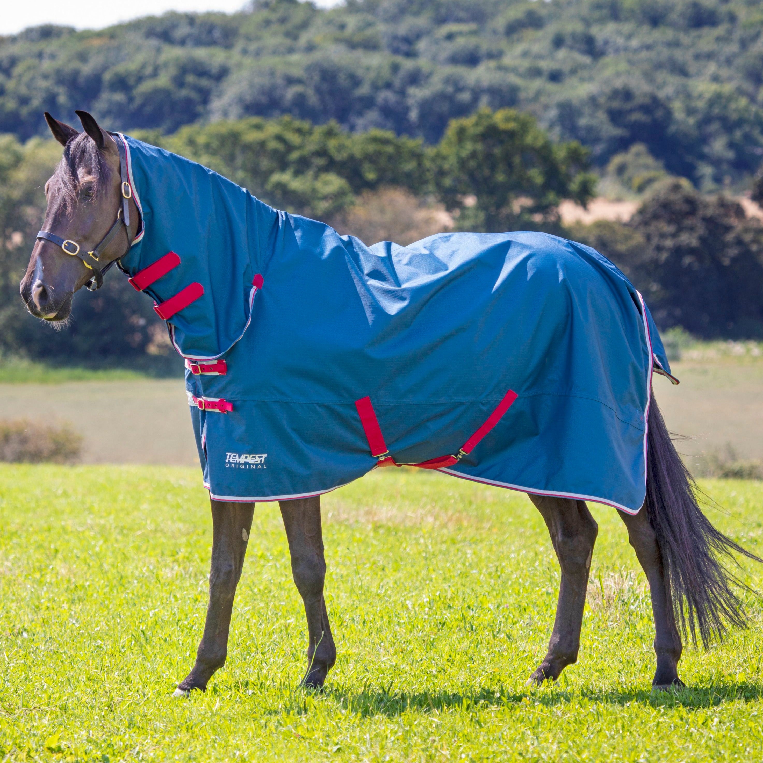 Shires Tempest Original Lite Turnout Combo Rug | Millbry Hill