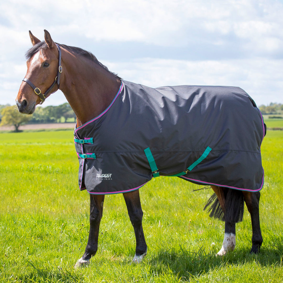 Shires Tempest Original 300g Standard Turnout Rug