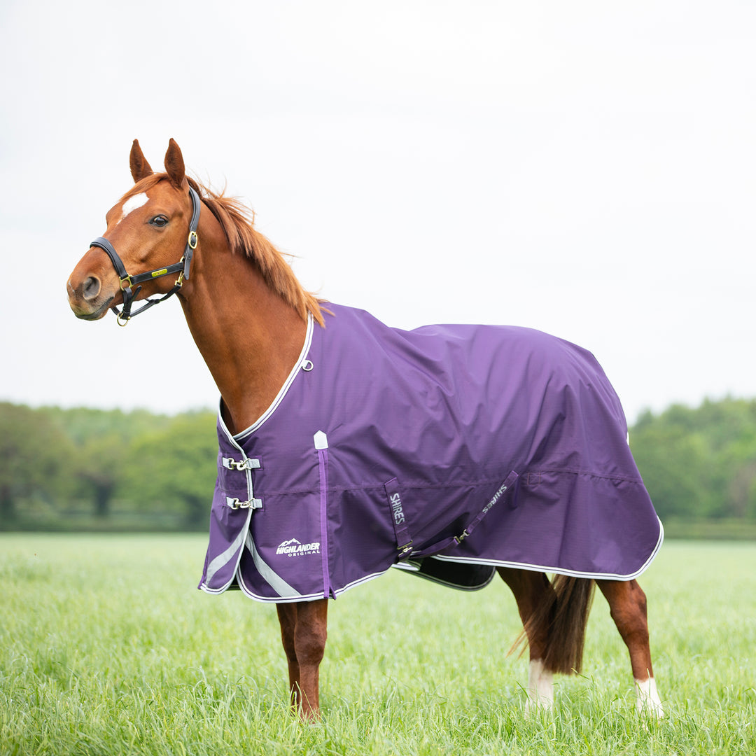 Shires Highlander Original 100g Turnout Rug