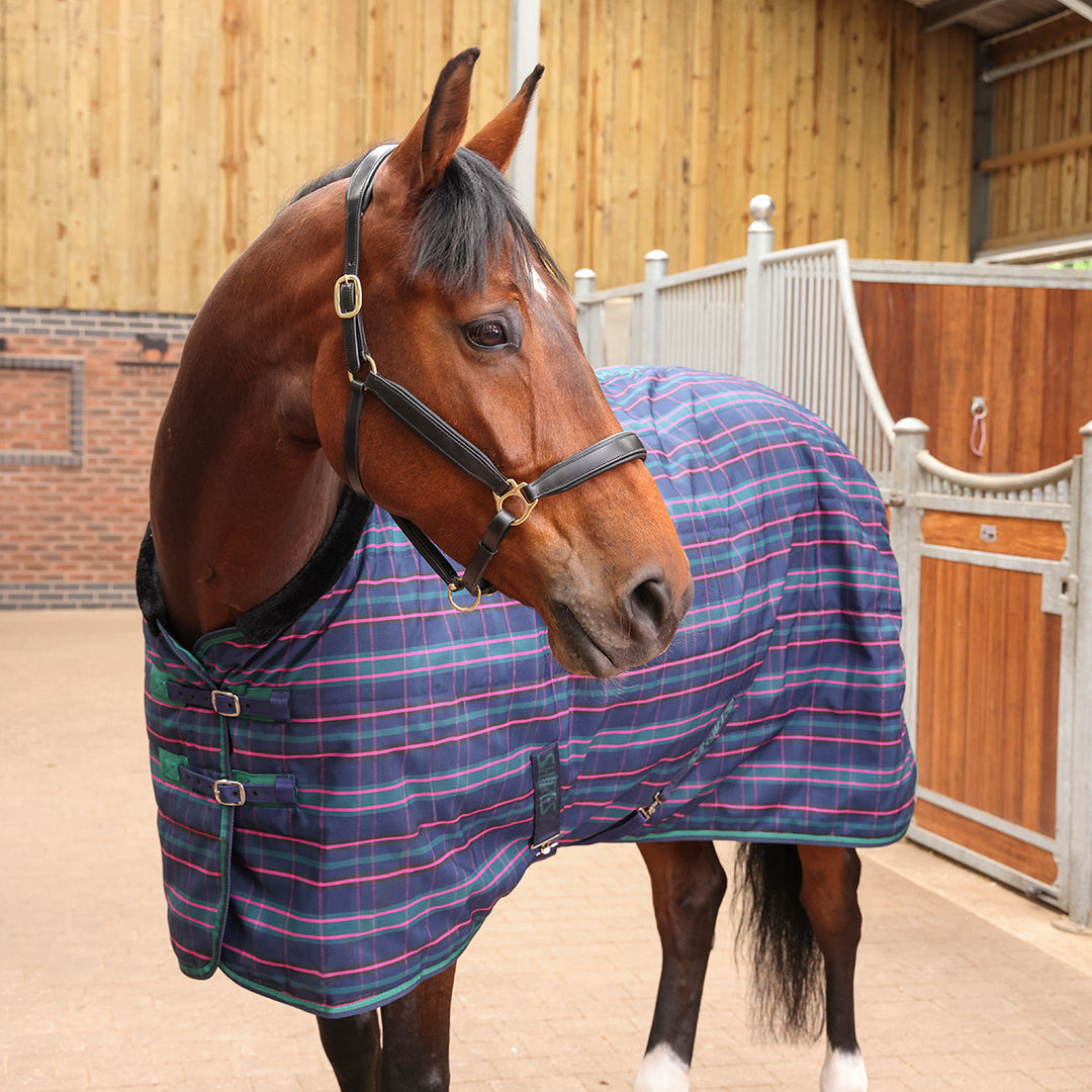 Shires Tempest Plus 100g  Stable Rug