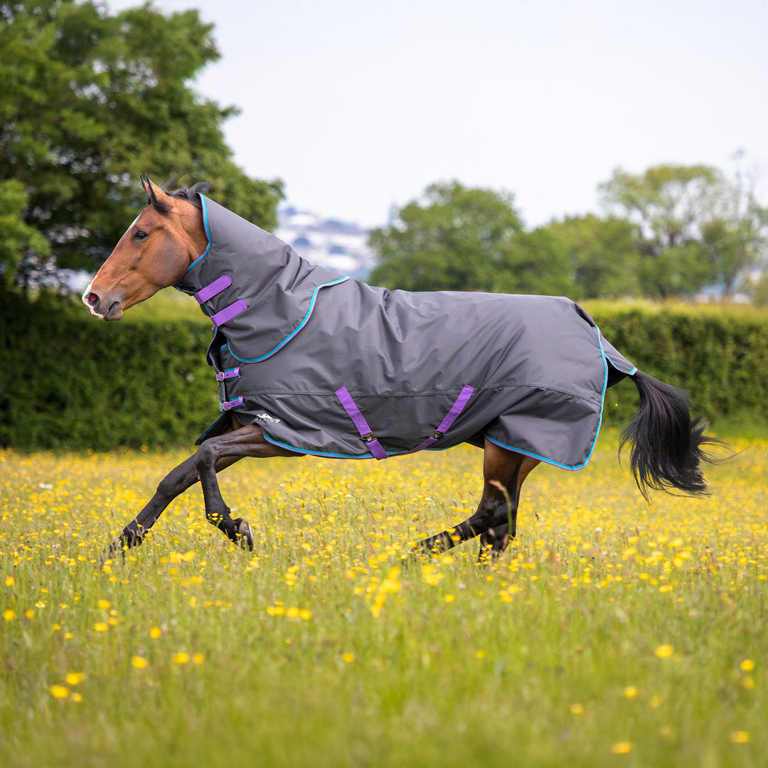 Shires Tempest Original 300g Turnout Rug & Neck