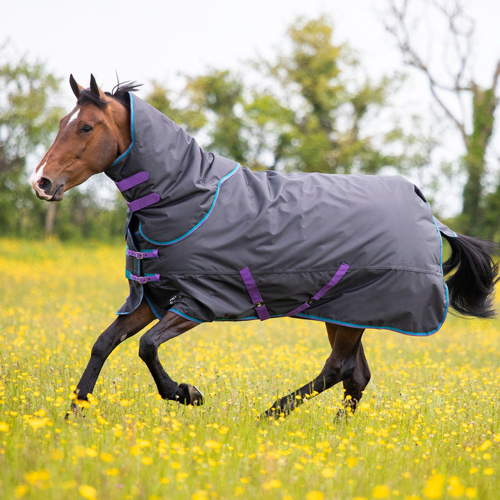 Shires Tempest Original 300g Turnout Rug & Neck