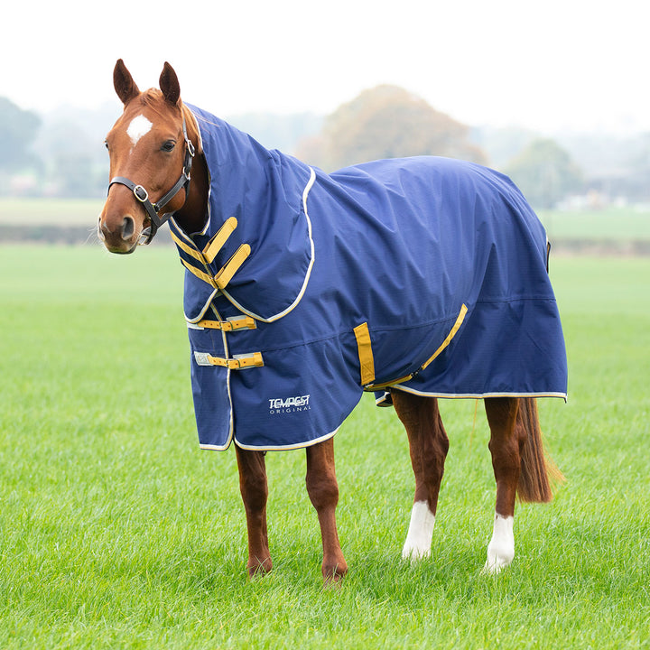 Shires Tempest Original 50g Turnout Rug & Neck Set