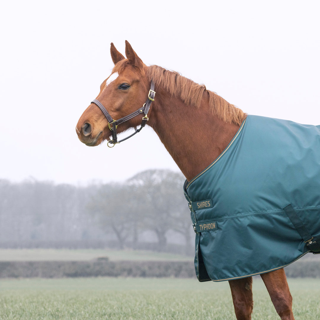Shires Typhoon 200g Standard Turnout Rug