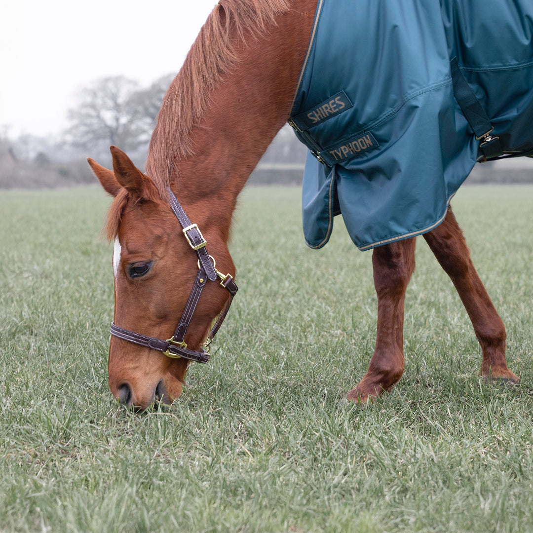 Shires Typhoon 200g Standard Turnout Rug