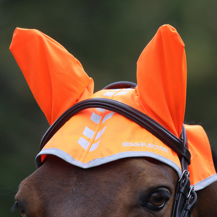 Equi-Flector Fly Veil