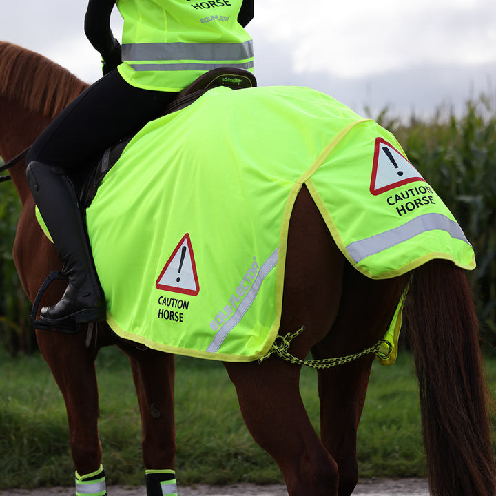 Equi-Flector Mesh Exercise Sheet