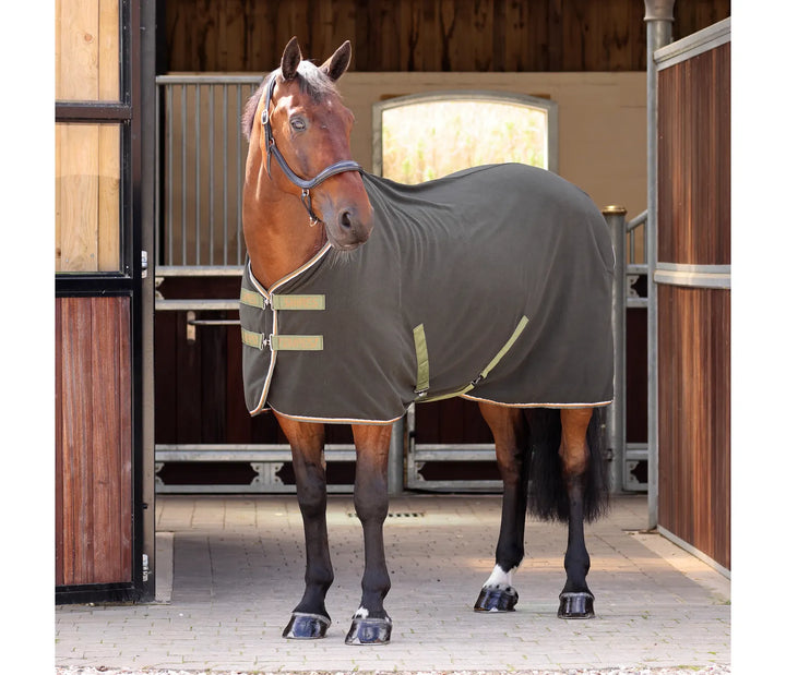 Shires Tempest Original Fleece Rug