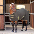 Shires Tempest Original Fleece Rug