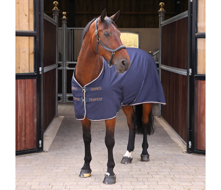 Shires Tempest Original Stable Sheet